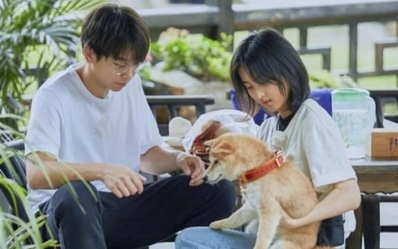 【风雨同舟】彭昱畅×张子枫cp(兄妹?)我觉得都像