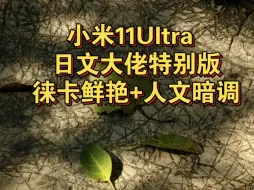 Скачать видео: 这光影，这色彩，这质感，简直绝了！小米11Ultra +日文大佬特别版/新春版+徕卡鲜艳+人文暗调。