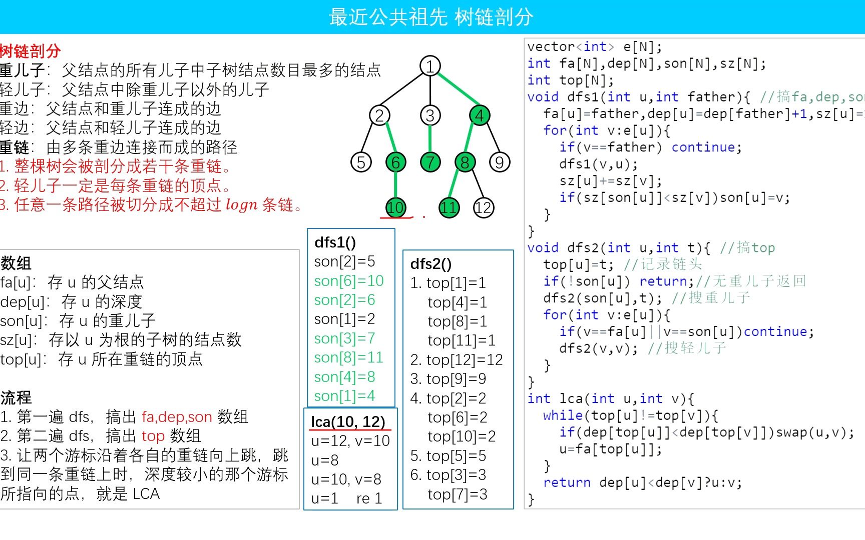 D11 树链剖分 P3379【模板】最近公共祖先(LCA)哔哩哔哩bilibili