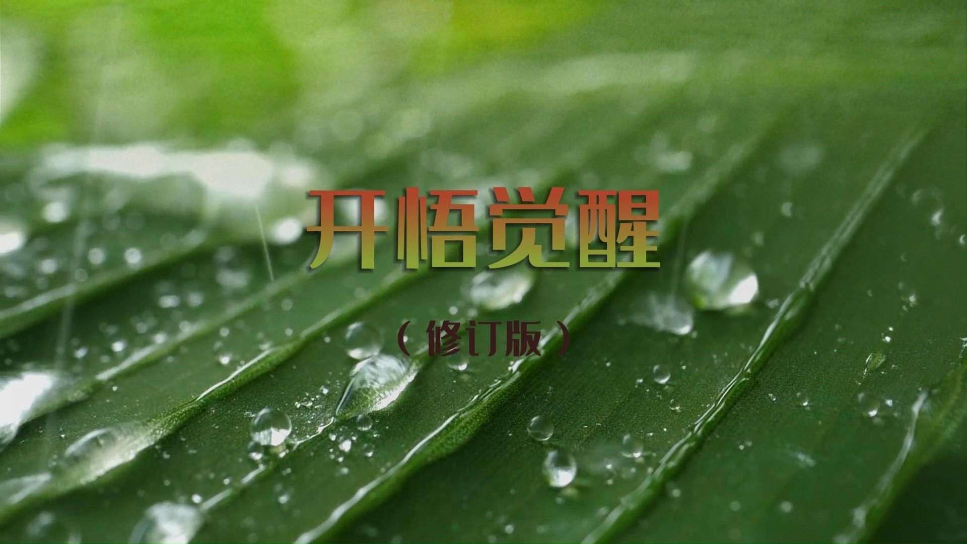 开悟觉醒(修订版)