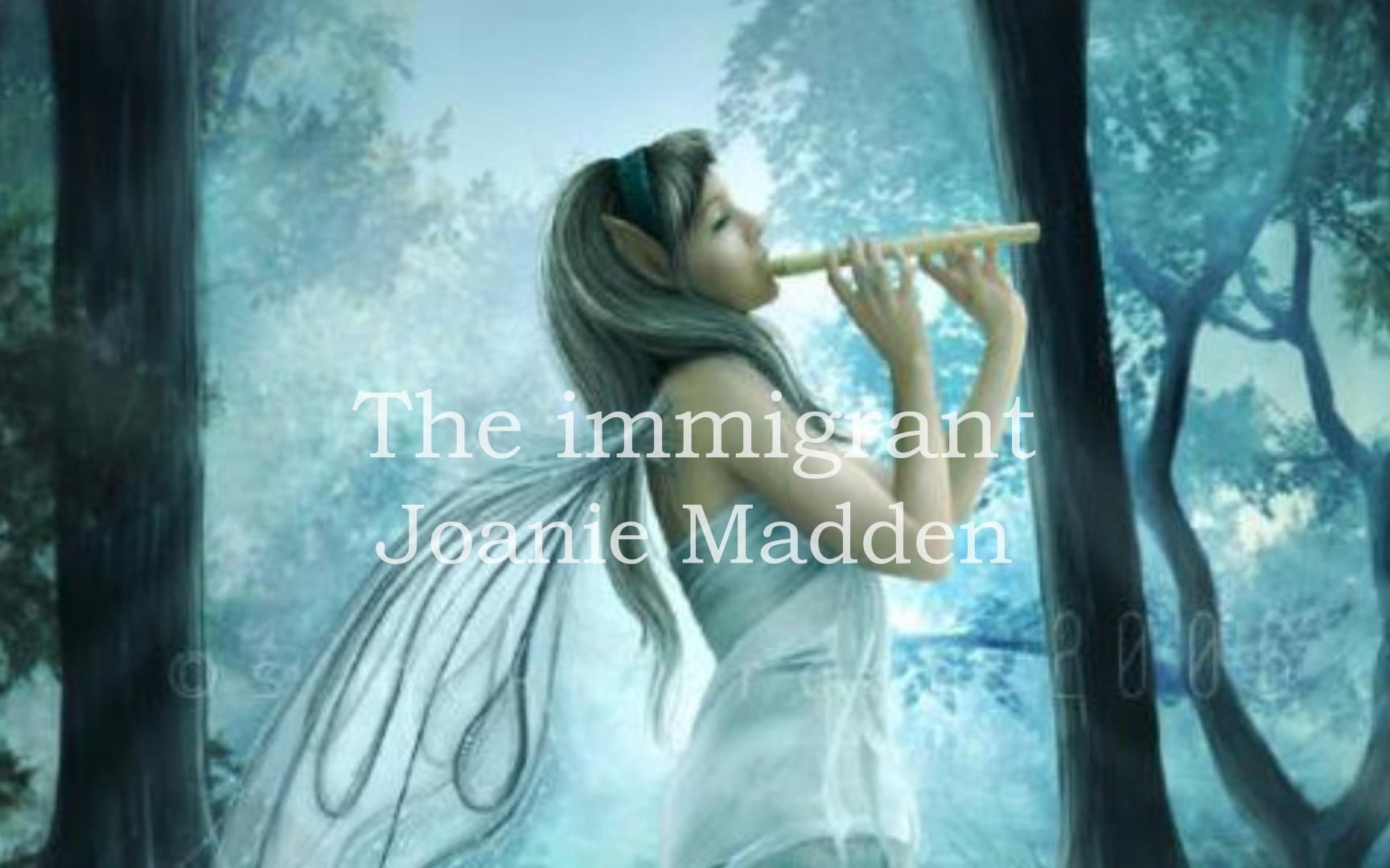 [图]Joanie Madden - The Immigrant