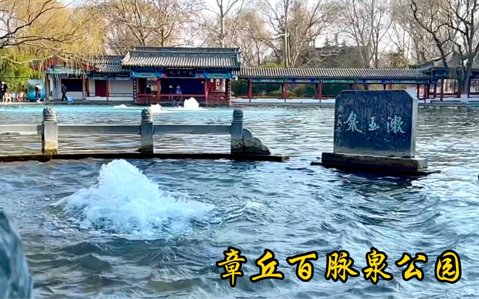 2023-03-01 春日游济南章丘百脉泉公园