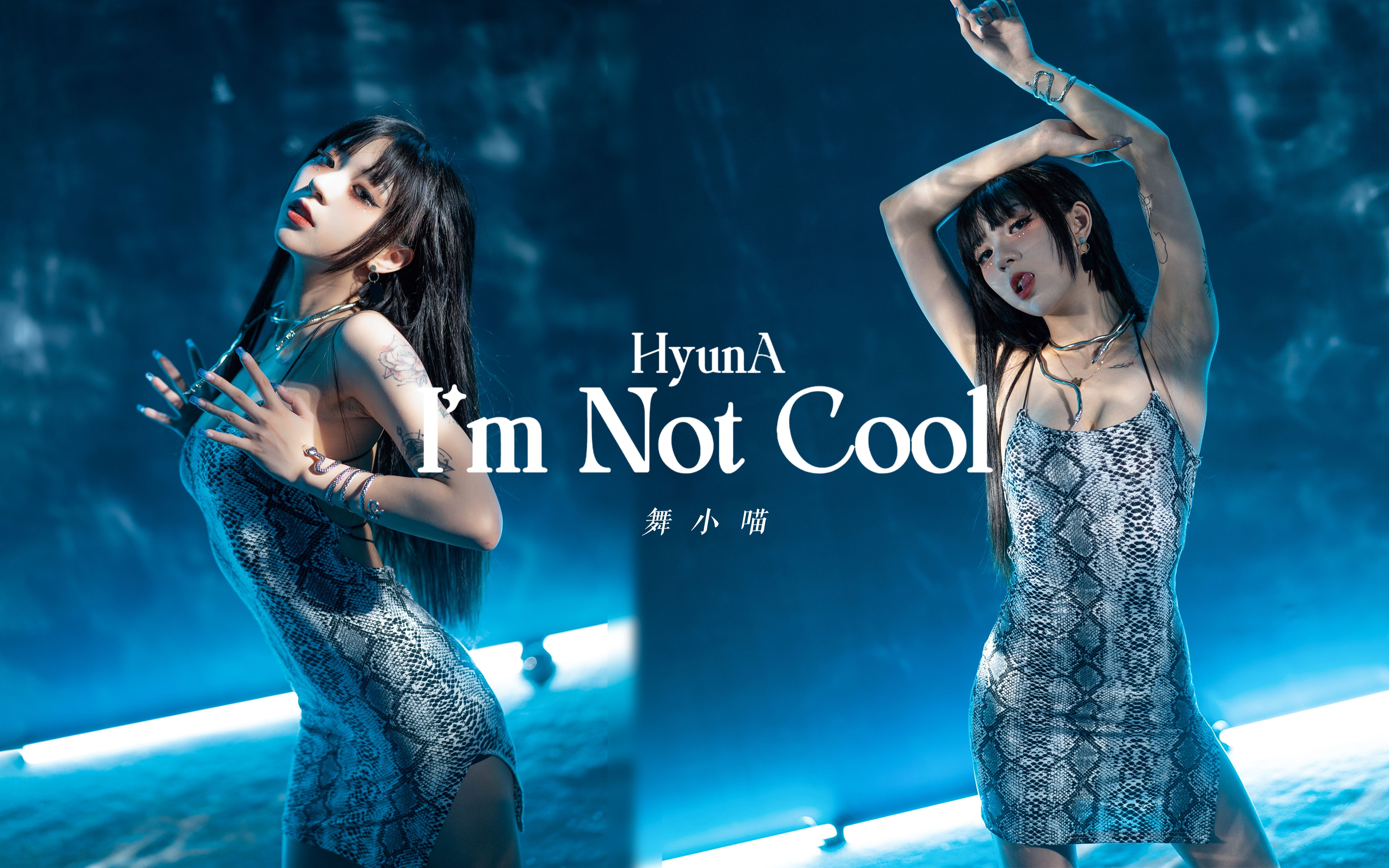 [图]【舞小喵】I'M NOT COOL 舞蹈版来袭！