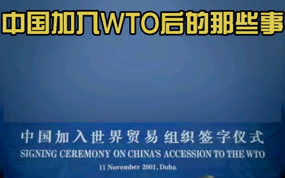 说说你眼中中国加入WTO后的变化…#热门 #经济 #WTO哔哩哔哩bilibili