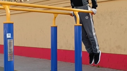 老人的双杠训练,练一练双杠臂屈伸_哔哩哔哩_bilibili