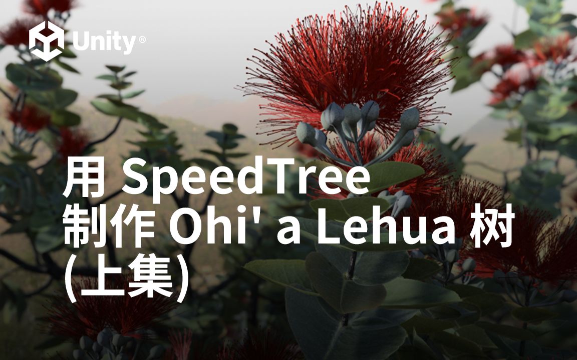 用 Unity SpeedTree 制作夏威夷 Ohi' a Lehua 树(上集)哔哩哔哩bilibili