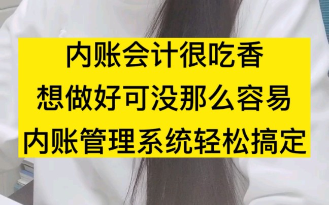 内账会计这样做,还是有两把“刷子”的,看这个内账管理系统!哔哩哔哩bilibili