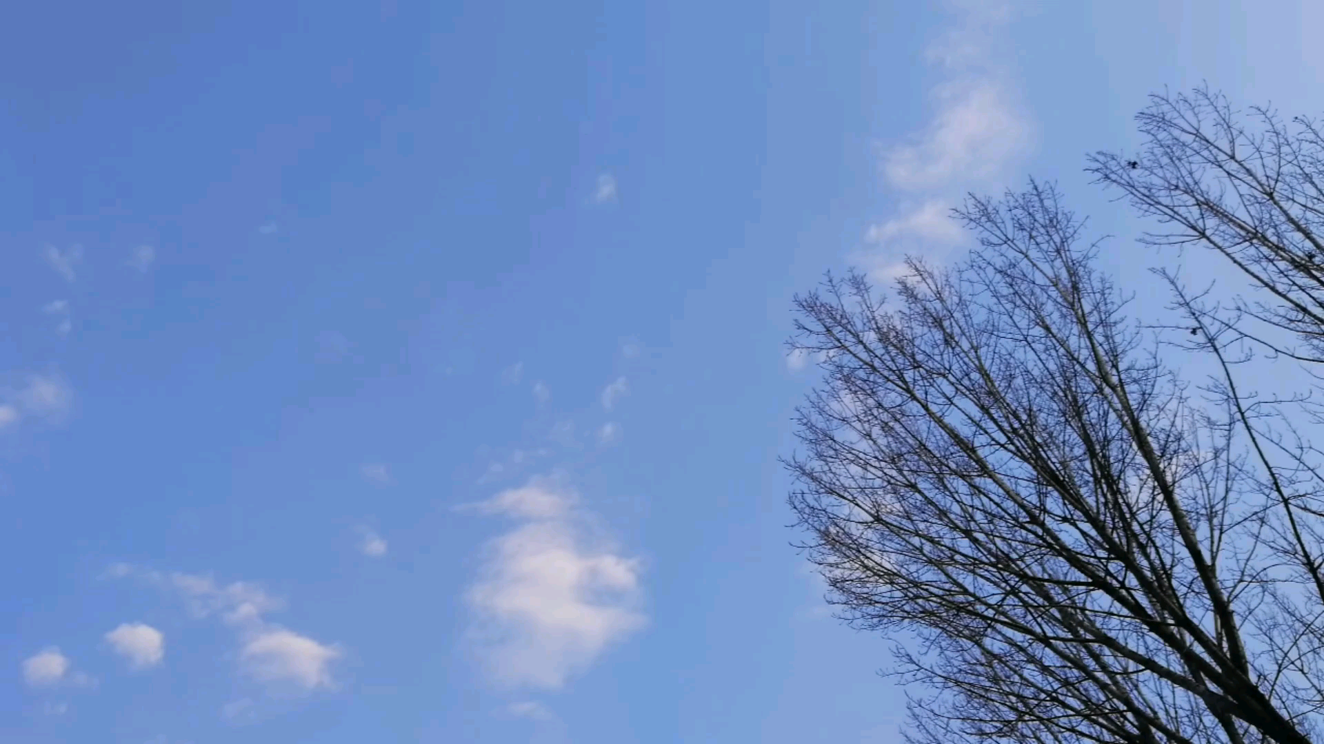 活动  今天天真好,蓝蓝的天,美丽日出,美的不要不要的