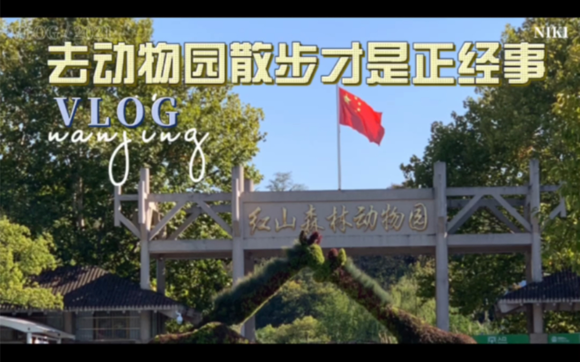 [图]【周末Vlog】南京红山动物园｜去动物园散步才是正经事