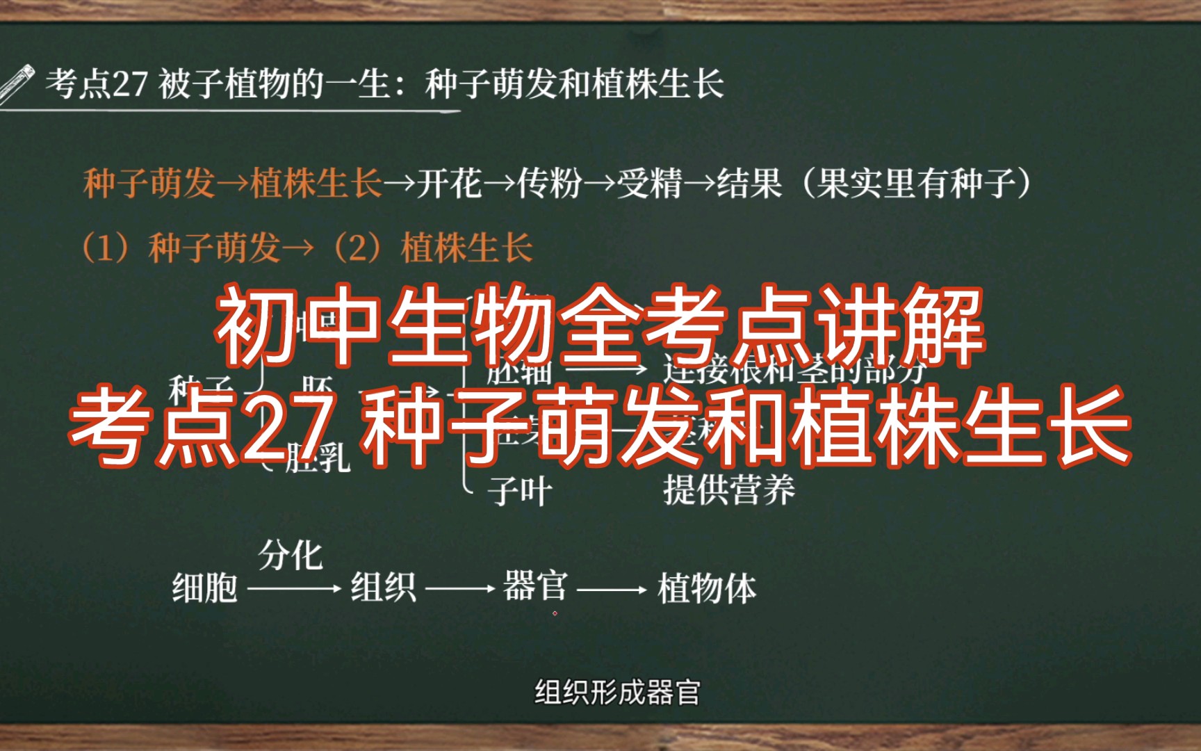 [图]【初中生物全考点讲解|七上】考点27 被子植物的一生：种子萌发和植株生长