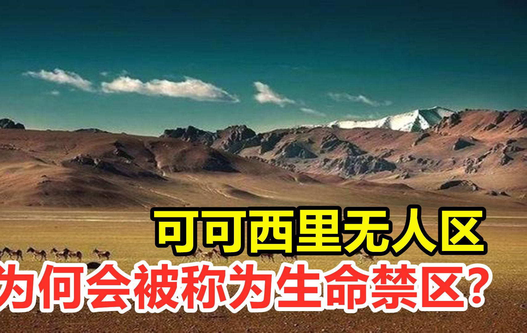 可可西里恐怖事实图片