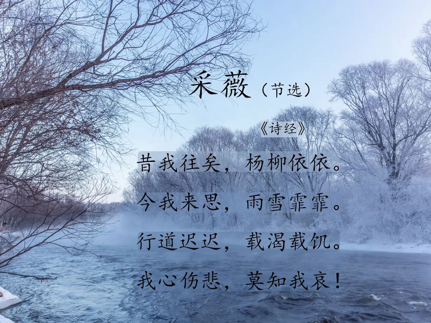 [图]杨柳依依，雨雪霏霏《采薇》（节选）《诗经》（曦版）