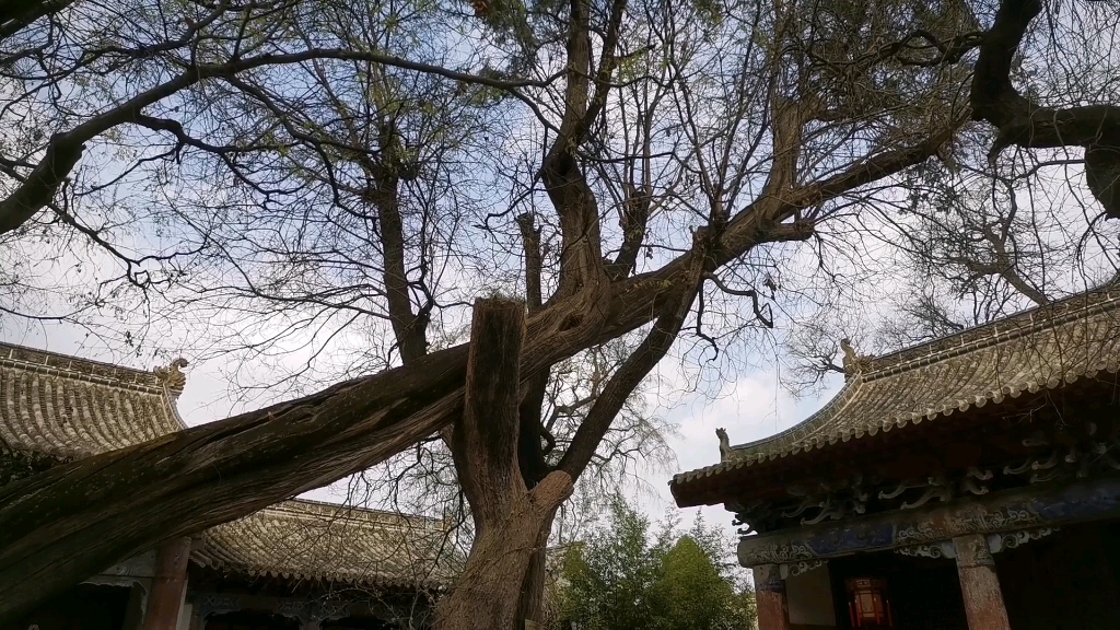 甘肃天水南郭寺,杜甫曾短短三个月在这里写下了上百首诗哔哩哔哩bilibili