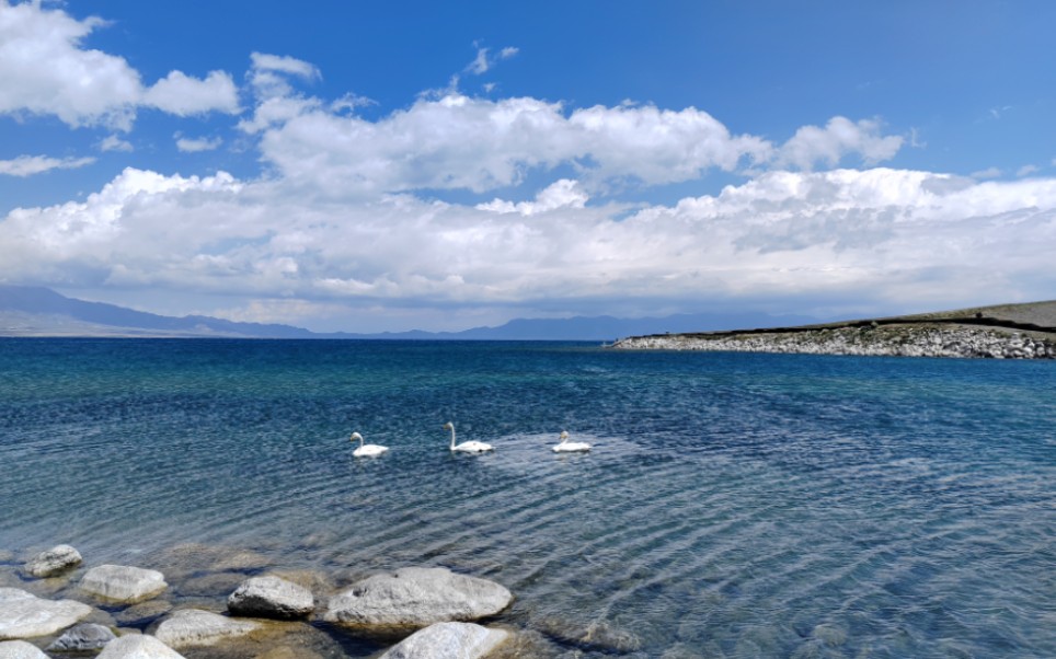 去有风的地方吧,赛里木湖太美啦