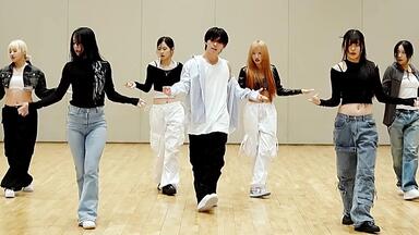 【4K镜面】<em class="keyword">李灿DINO</em>(SEVENTEEN) - Wait 练习室 分段循环 画放大 替音轨♡扒舞专用