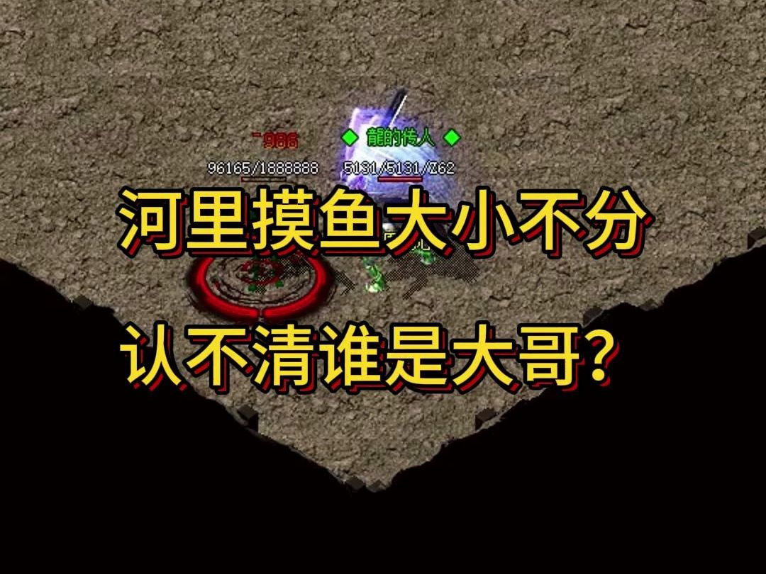 河裡摸魚大小不分 認不清誰是大哥?