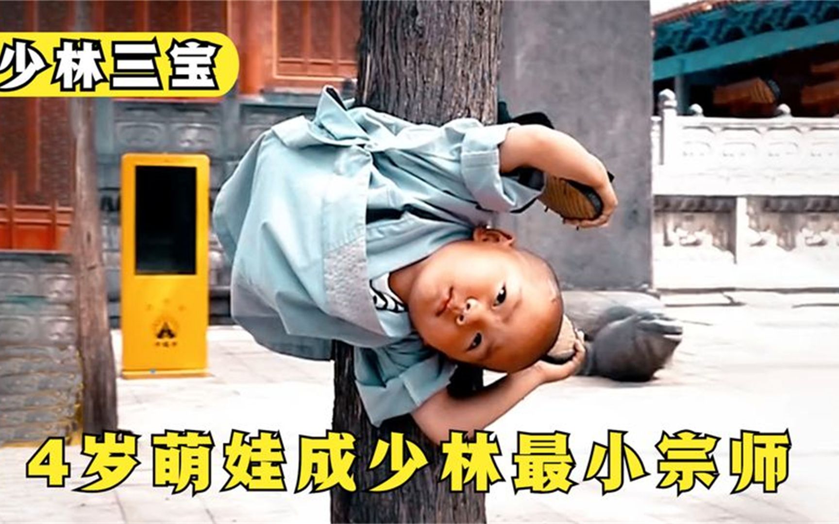 少林三宝4岁萌娃拜师少林叼着奶嘴苦练72技火出圈太厉害了