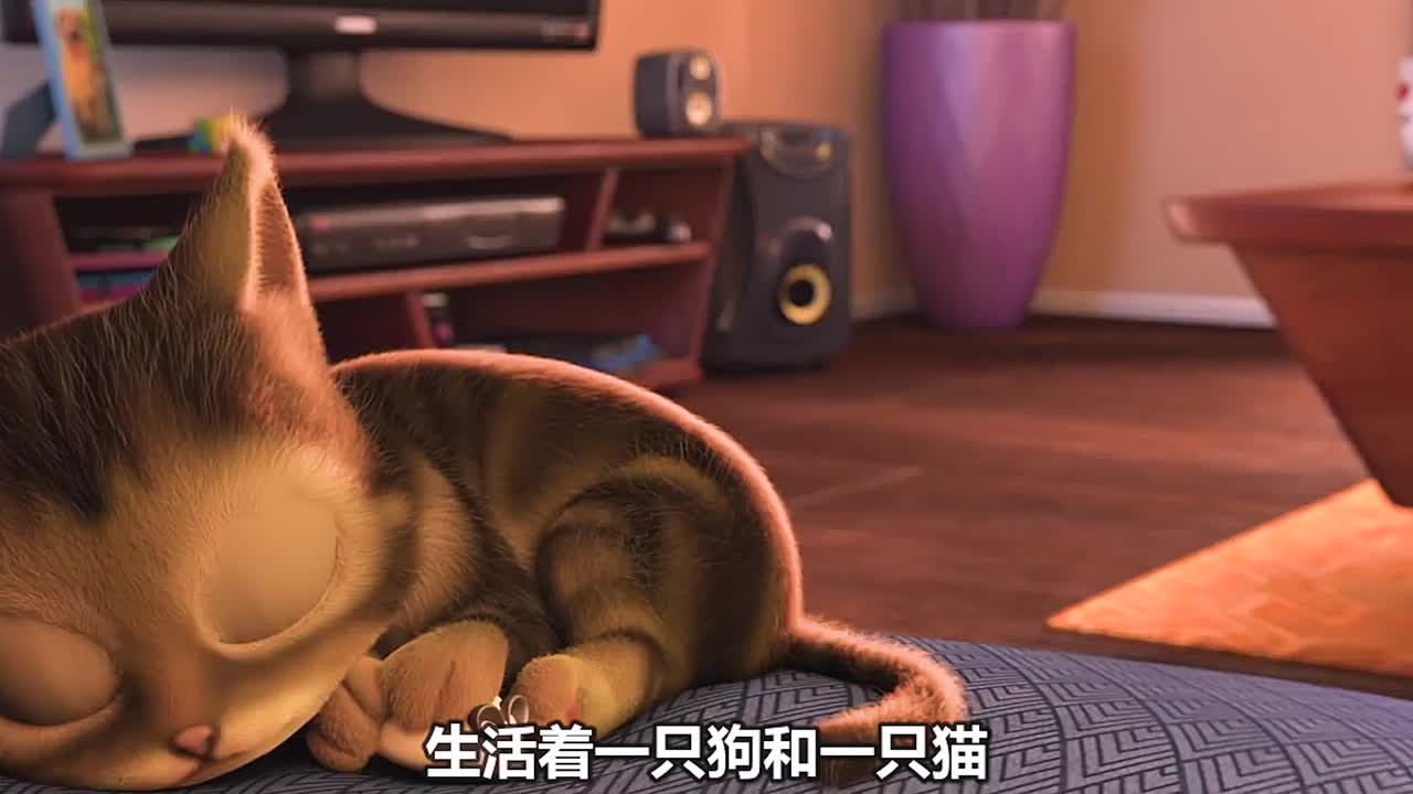 猫咪喝了咖啡,兴奋的停不下来,搞笑动画短片《猫咖啡》哔哩哔哩bilibili