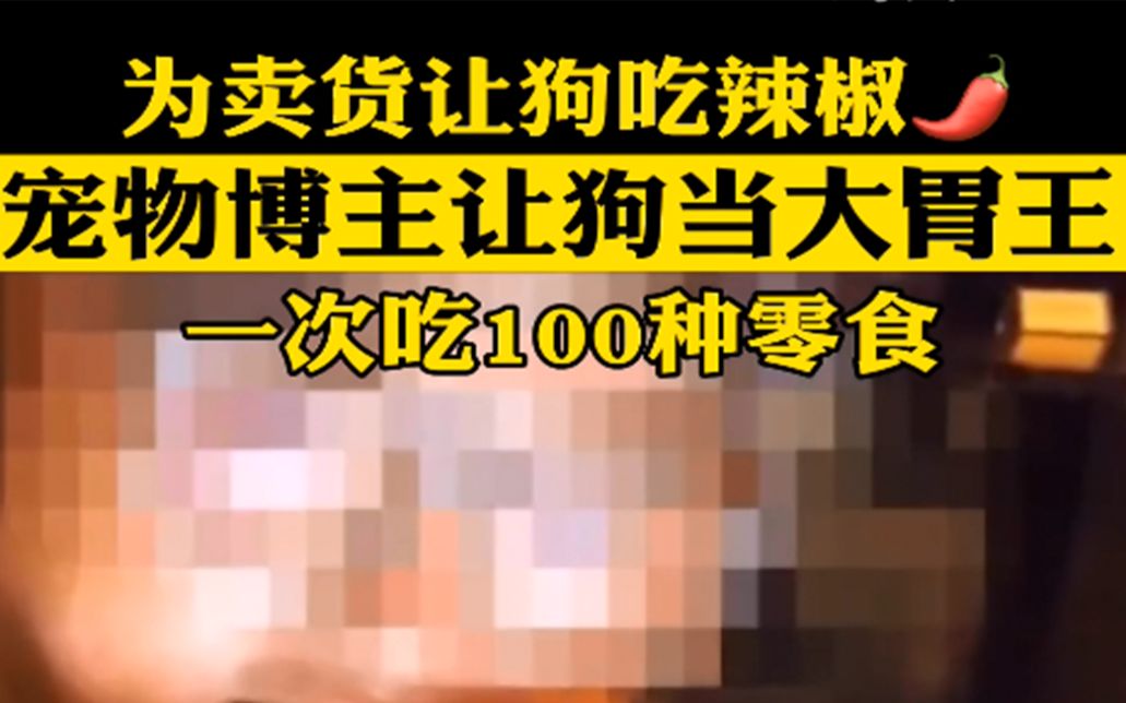 为卖货不择手段宠物博主让狗当大胃王一次吃100种零食还强迫它们吃