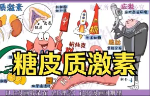 Download Video: 绘画医学  糖皮质激素所有作用