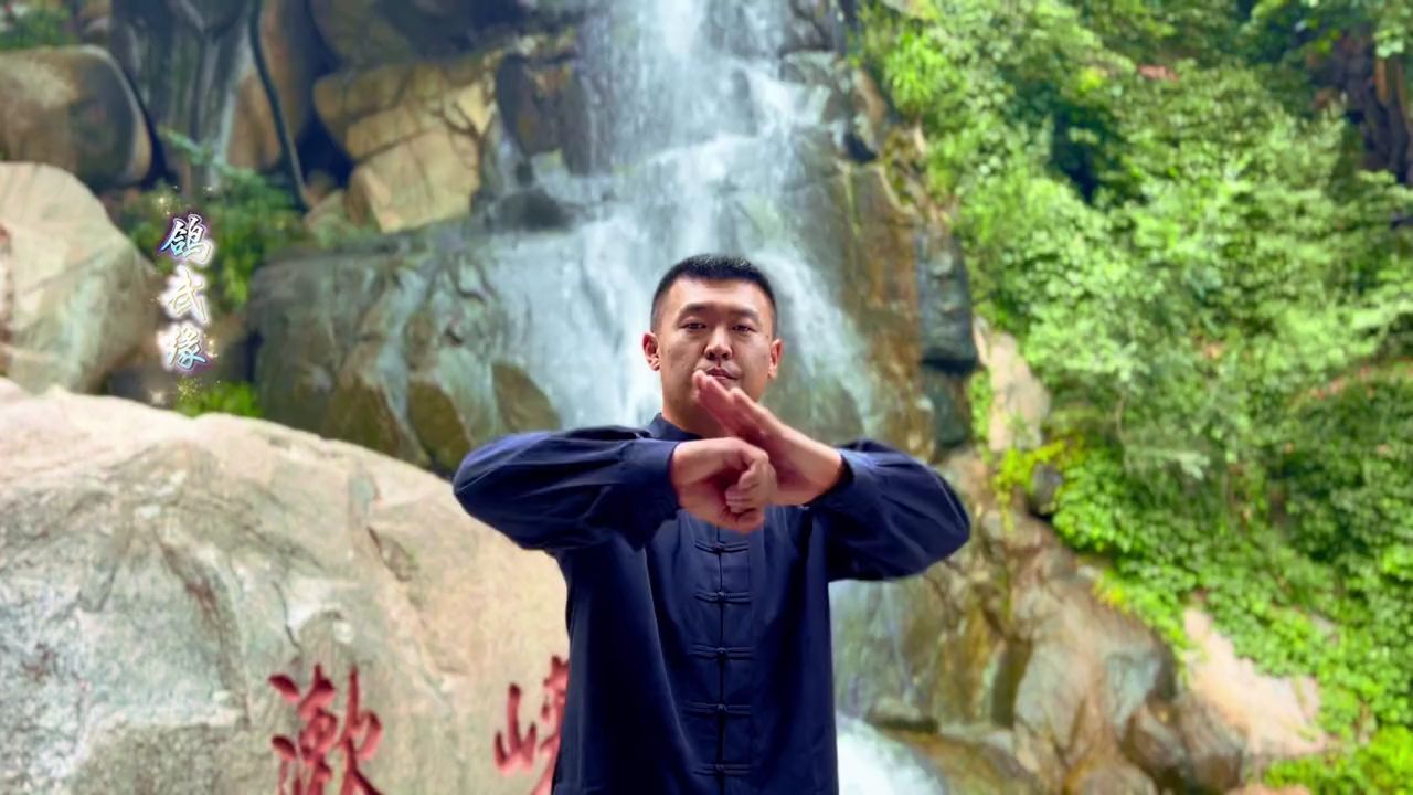 预祝第四届中国盘山武术节圆满成功 #通背拳