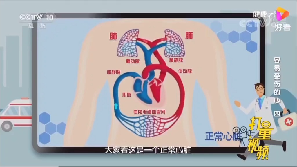 心脏工作心衰动画哔哩哔哩bilibili