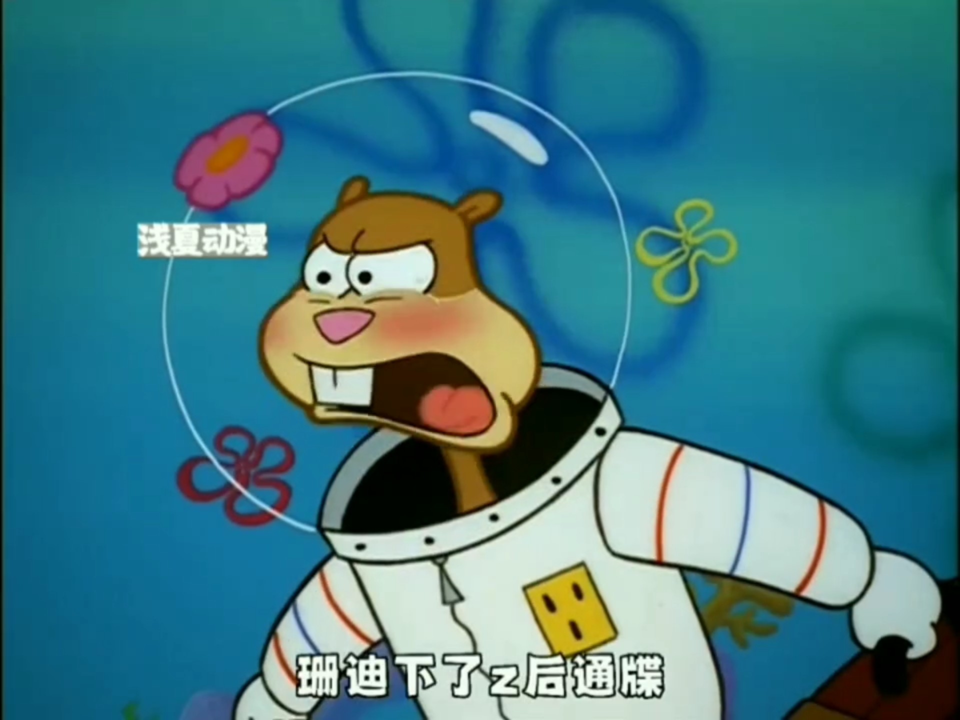 珊迪:你可以侮辱我,不能侮辱我的家乡