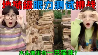 Download Video: 地狱眼力测试挑战！柴火堆里藏着一只“猫咪”？能找出它在哪里吗