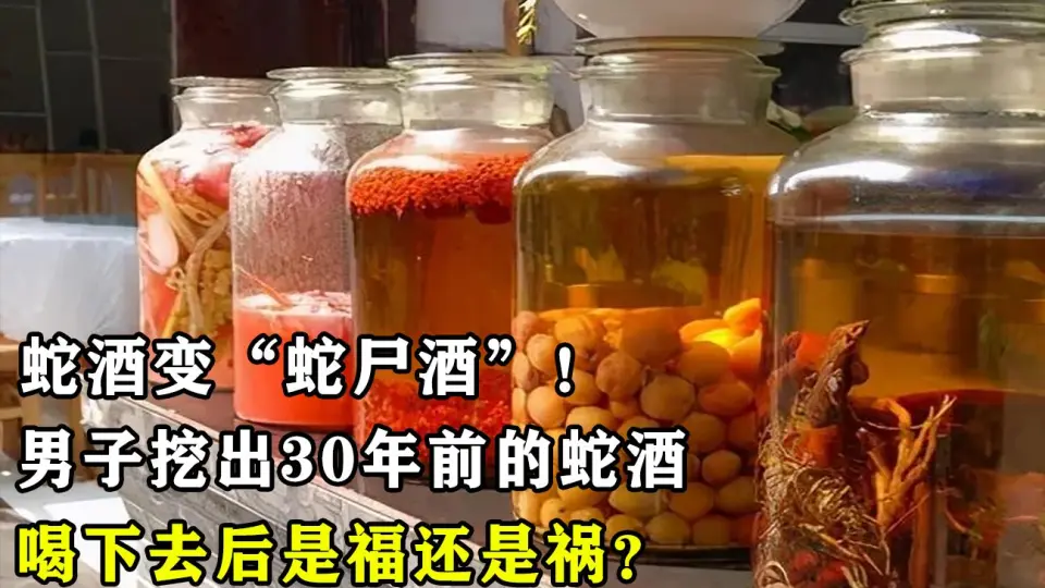 蛇酒变“蛇尸酒”！男子挖出30年前的蛇酒，喝下去后是福还是祸？_哔 