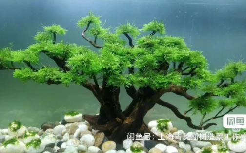 莫斯树制作及粘莫斯水草教程