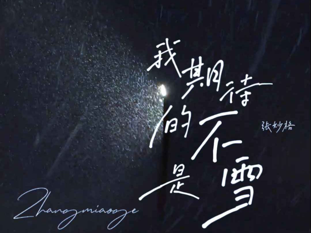 张妙格《我期待的不是雪 (而是有你的冬天)》