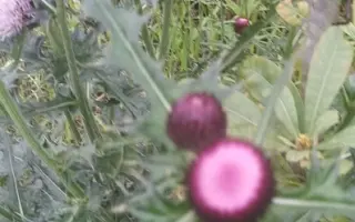 无名肿毒 搜索结果 哔哩哔哩 Bilibili