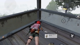 Pubg Mobile 国际服带日本网友们吃鸡 哔哩哔哩 つロ干杯 Bilibili
