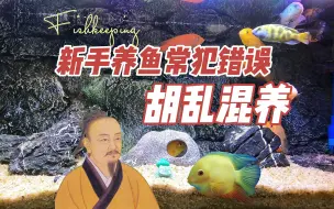 Video herunterladen: 新手养鱼常犯错误之混养，这些鱼不能混养：养鱼笔记第3季49集