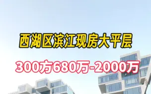 Download Video: 西湖区300方大平层现房600-2000万滨江开发