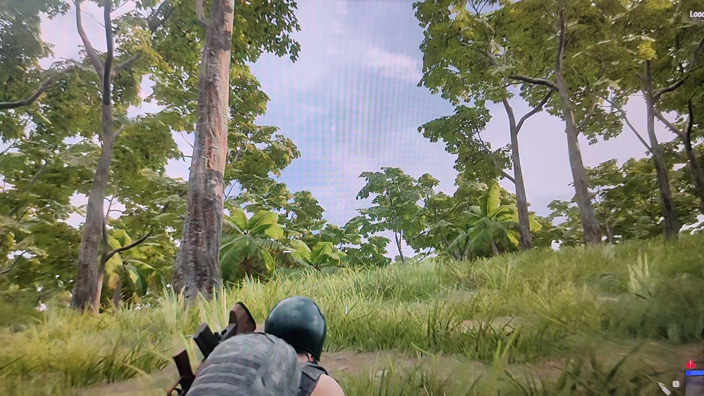 绝地求生雨林图