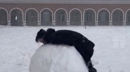 [图]老师催大家回去上课后，竟然偷偷占领大雪球（