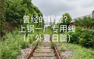 下载视频: 探访废弃的上钢一厂专用线（厂外夏日篇）（曾经上海钢厂的辉煌？）