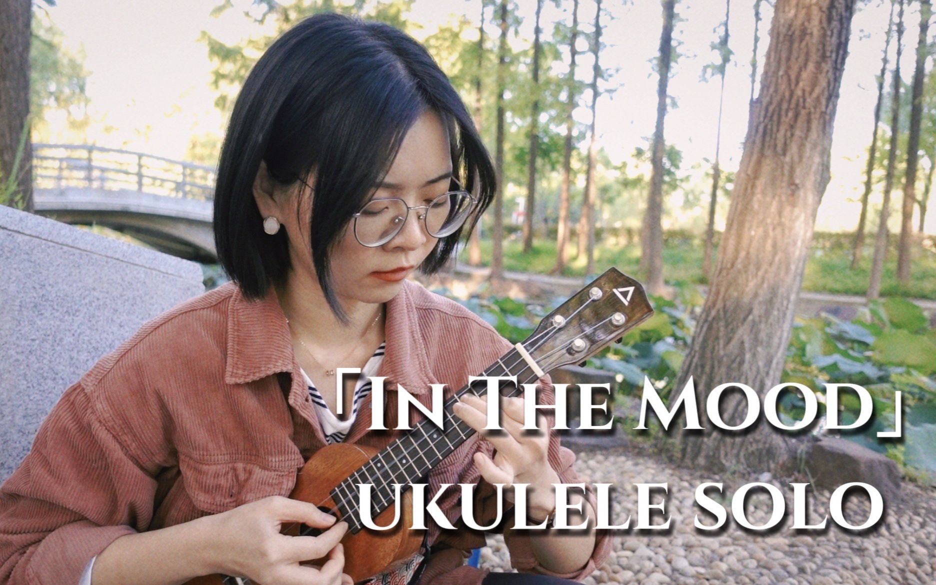 「in the mood」solo-尤克里里指弹