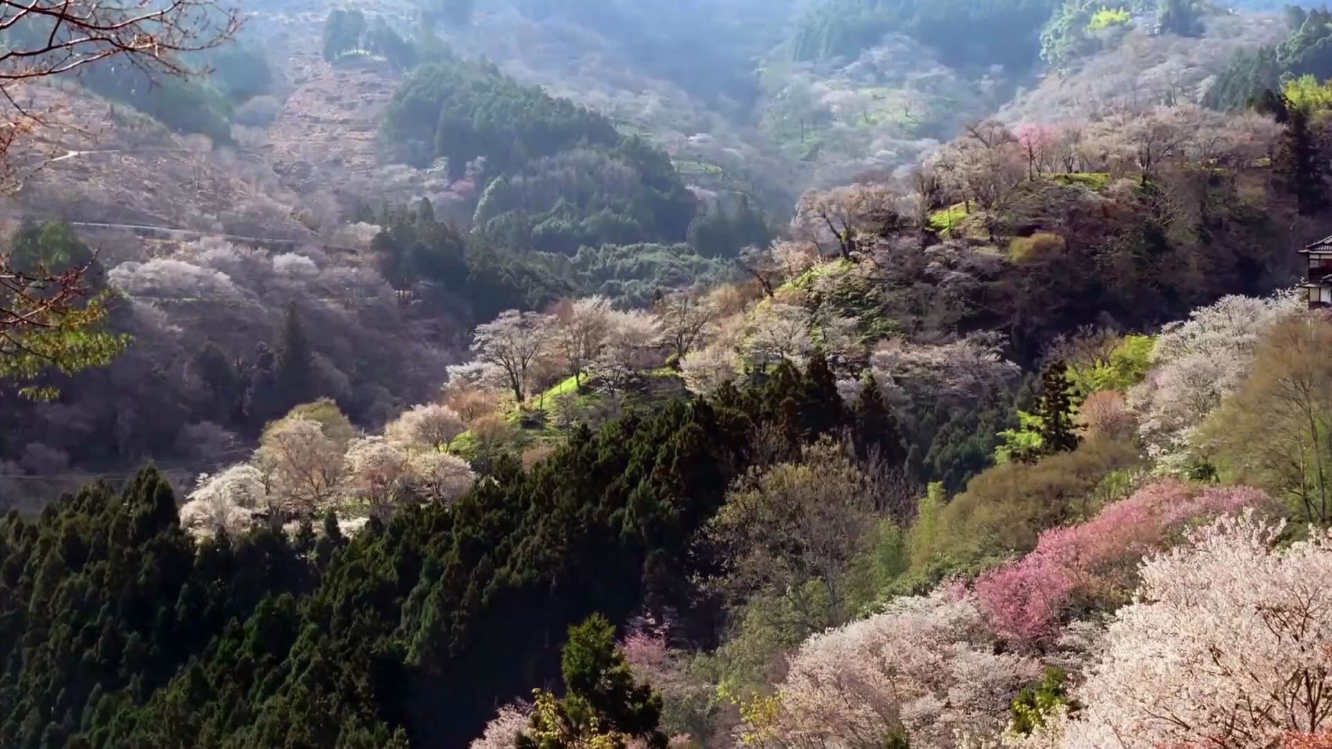 7,歌曲《江山飞歌》背景_哔哩哔哩_bilibili