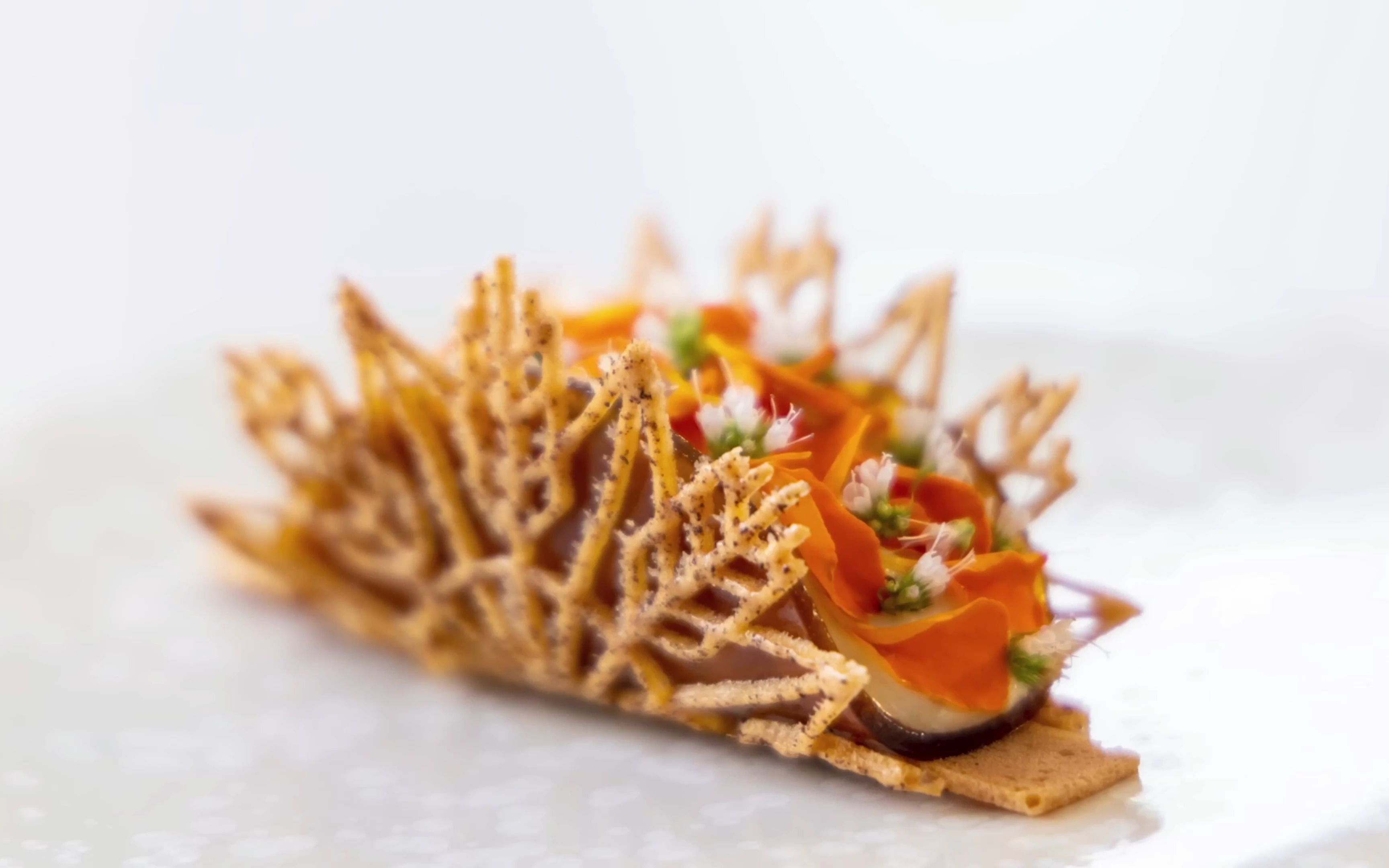 米其林餐厅菜品————螃蟹沙拉墨西哥卷