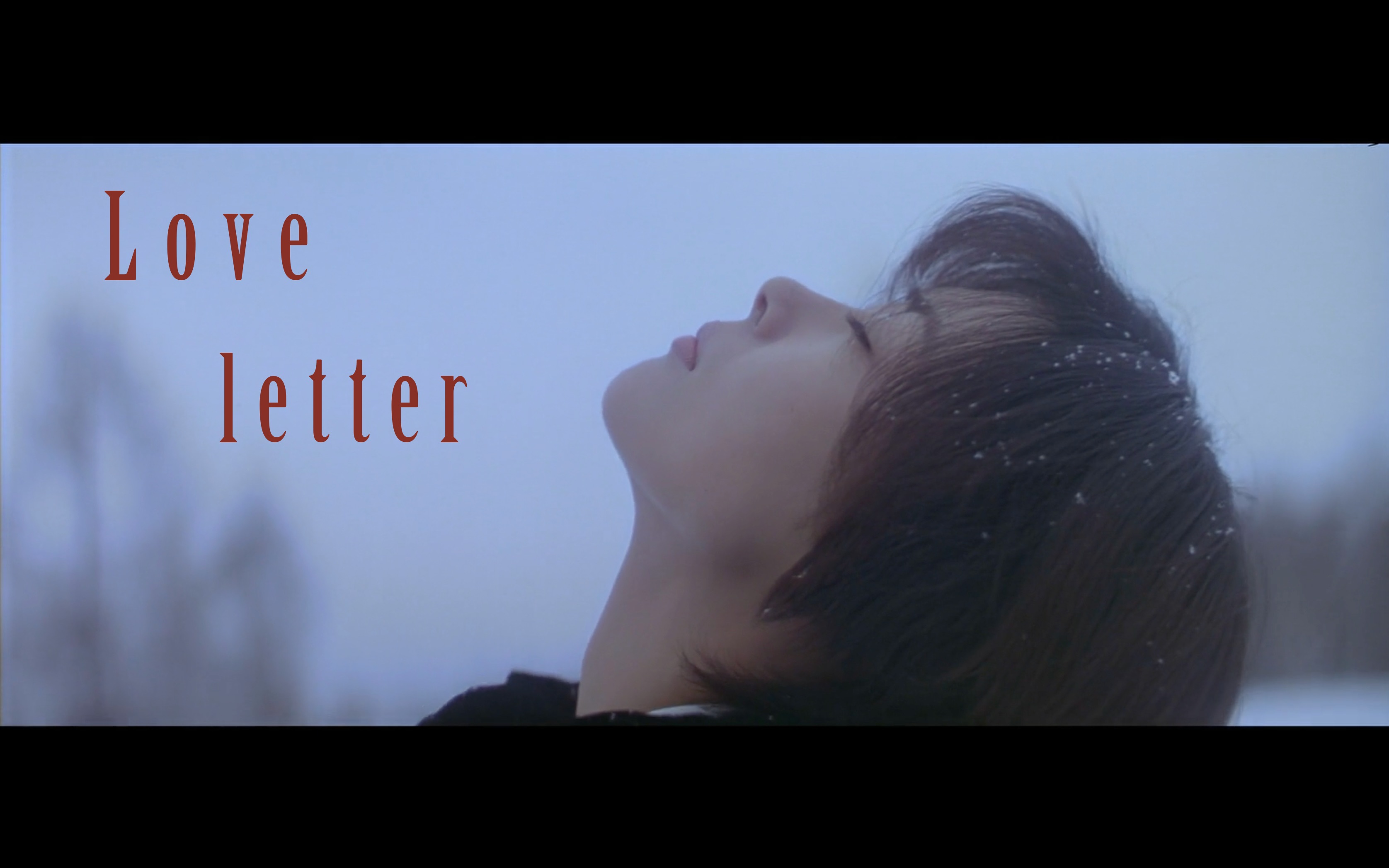 情书拜启藤井树可否再多告诉我一些事情请让我分享给你的回忆