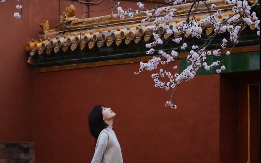 [图]故宫拍照 | 深宫处处，春雨杏花急急落