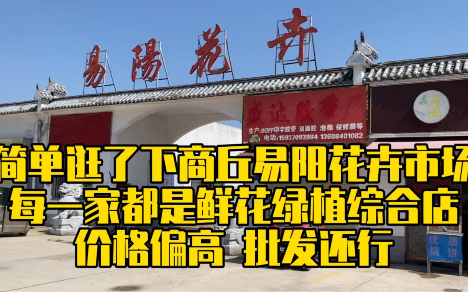 简单逛了下商丘易阳花卉市场每一家都是鲜花绿植综合店价格偏高 批发还行哔哩哔哩bilibili