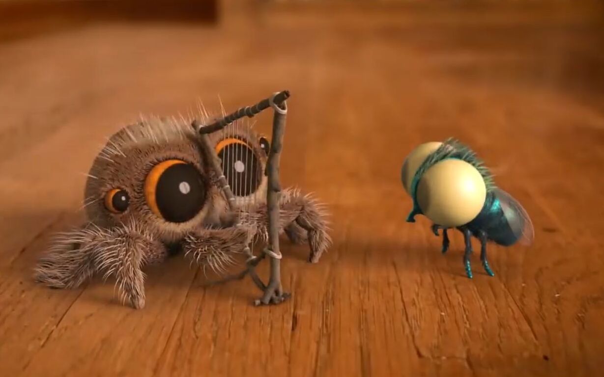 小蜘蛛lucas,不仅是只跳蛛,音乐蛛,还是艺术家小蜘蛛