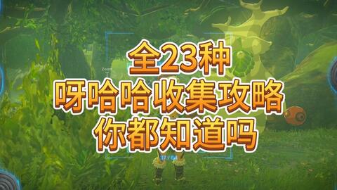 王国之泪 全23种不同类型呀哈哈收集攻略