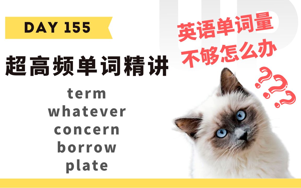 【学英语】十分钟掌握必背单词Day 155:term, whatever, concern, borrow, plate哔哩哔哩bilibili