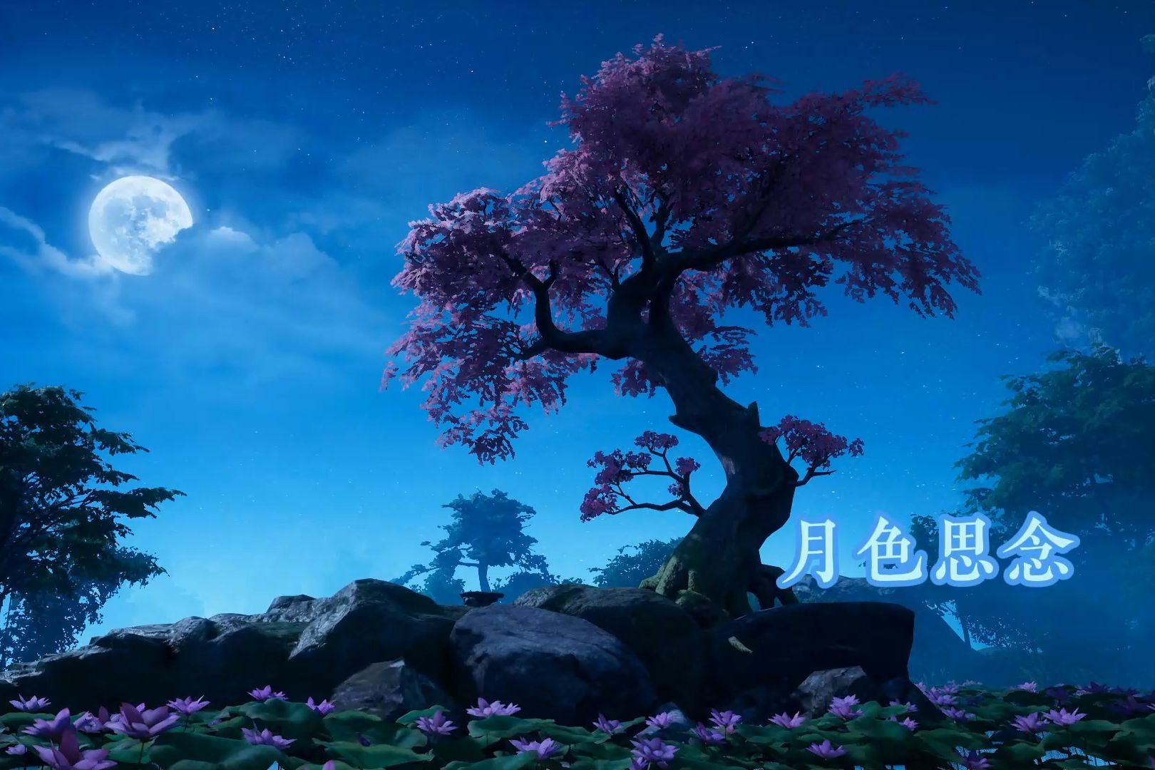 【箫】月色思念