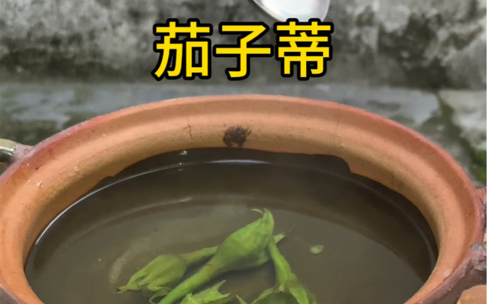 茄子你见过,茄子蒂你知道吗?煮茄子时留点茄子蒂.哔哩哔哩bilibili