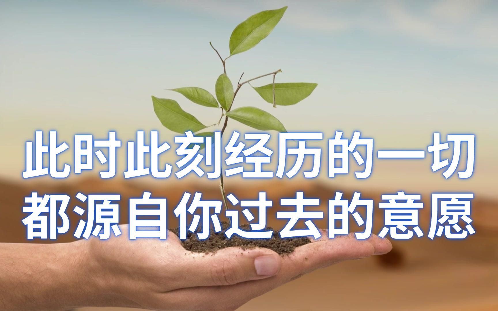 此时此刻经历的一切,都源自你过去的意愿